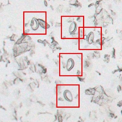 Get the result Get the result