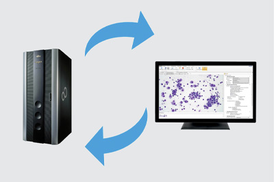 Preset cytology analysis algorithm Preset cytology analysis algorithm