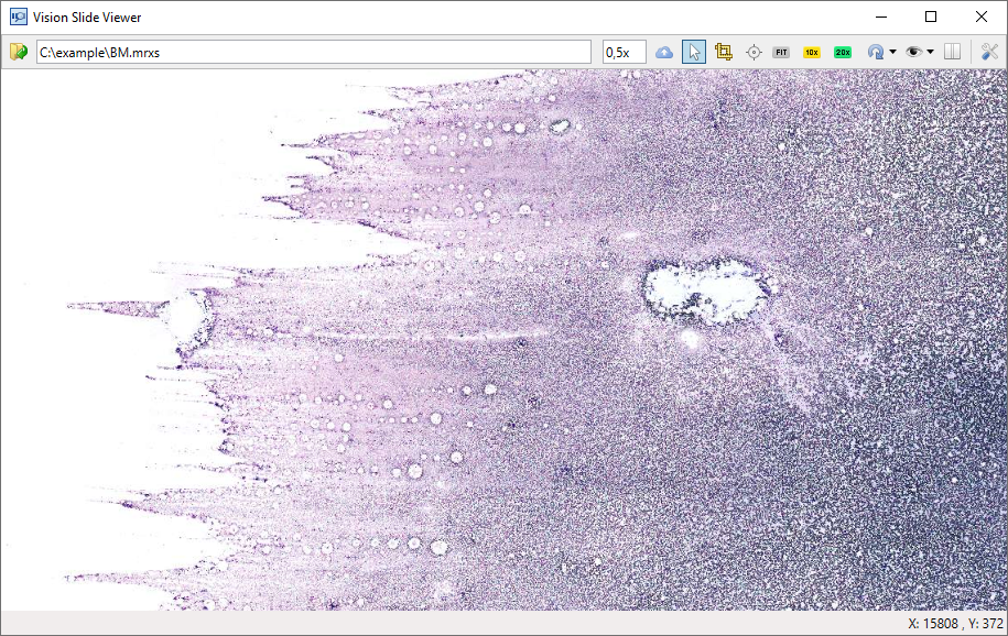 Slide viewing at various magnifications