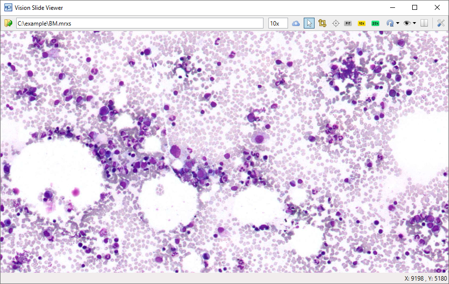 Slide viewing at various magnifications